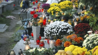 Symbolika kwiatów pogrzebowych. Jakie wybrać?