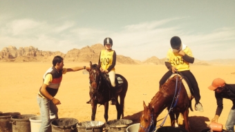 Konno przez pustynię niczym Lawrence of Arabia